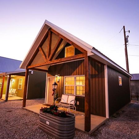 Knotty Squirrel Cabins Маунтин Вю Екстериор снимка
