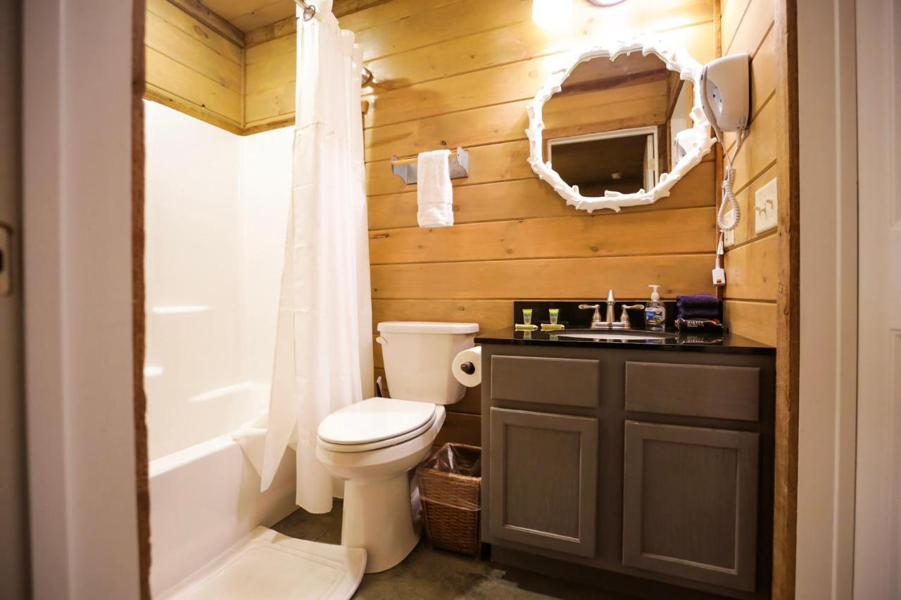 Knotty Squirrel Cabins Маунтин Вю Екстериор снимка