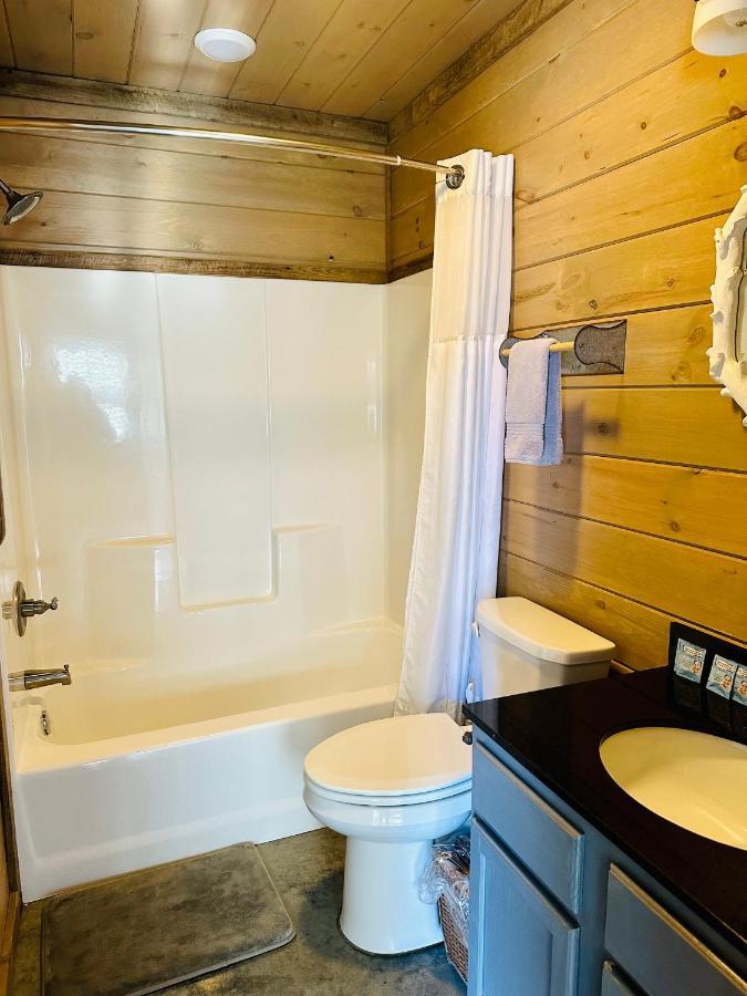Knotty Squirrel Cabins Маунтин Вю Екстериор снимка