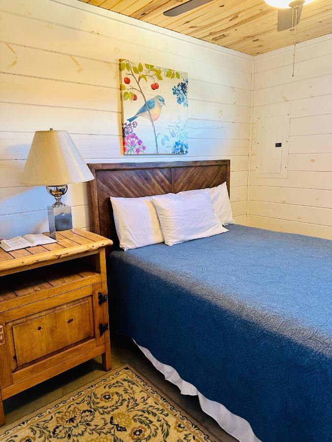 Knotty Squirrel Cabins Маунтин Вю Екстериор снимка